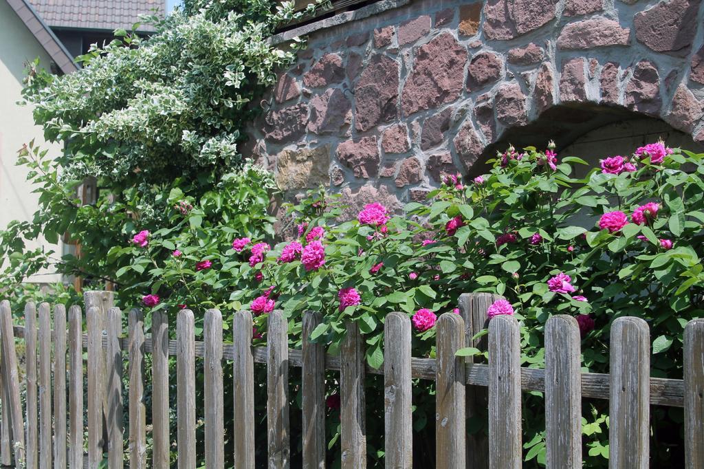 Haus Am Bergli Daire Herbolzheim Oda fotoğraf