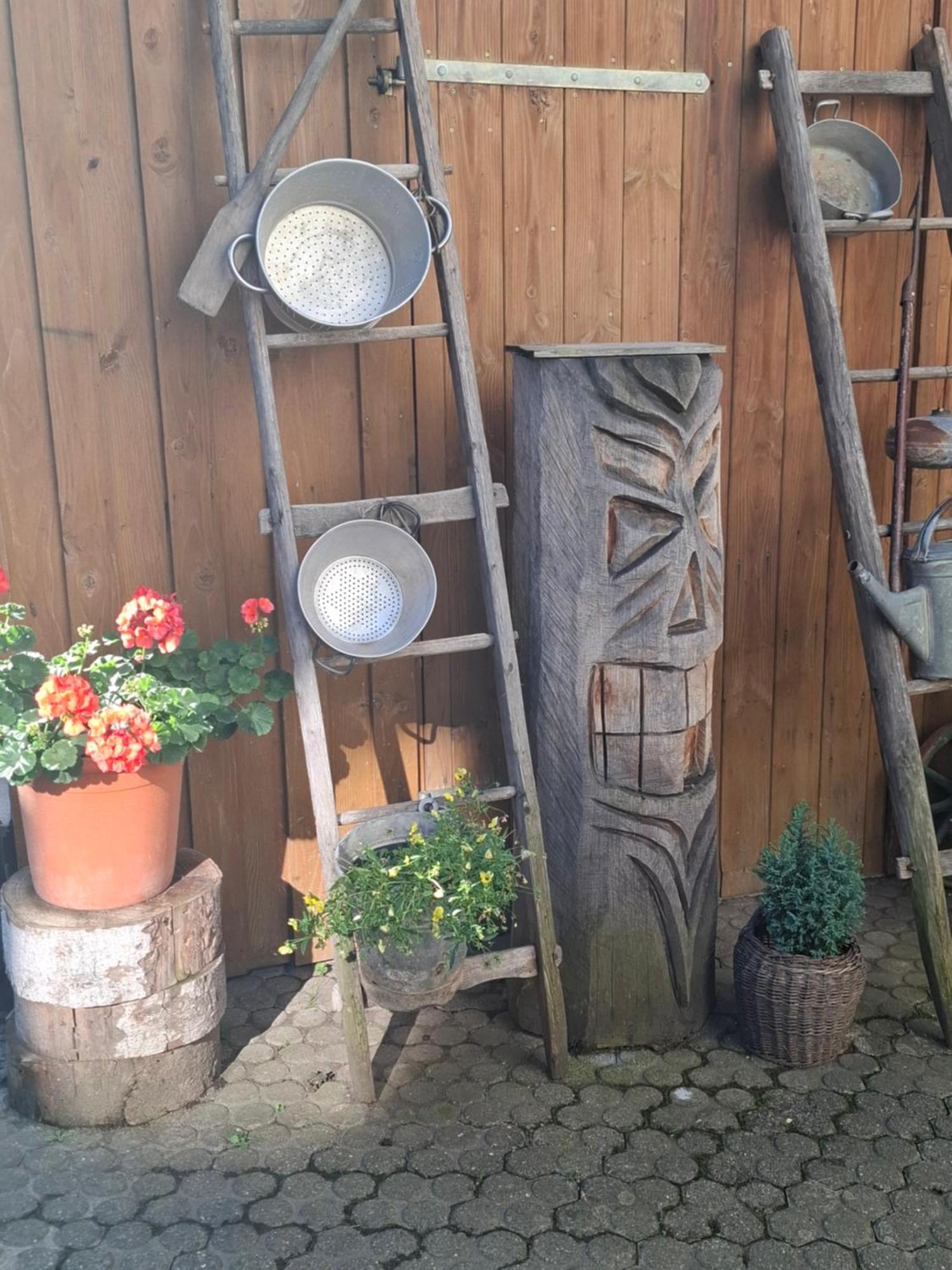 Haus Am Bergli Daire Herbolzheim Dış mekan fotoğraf